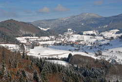 Vogelbach im Winterkleid